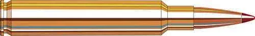 280 Rem Ackley Improved 20 Rounds Ammunition Hornady 162 Grain ELD-X