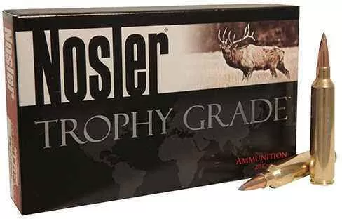 33 FALSEsler 20 Rounds Ammunition 265 Grain Polymer Tip Boat Tail