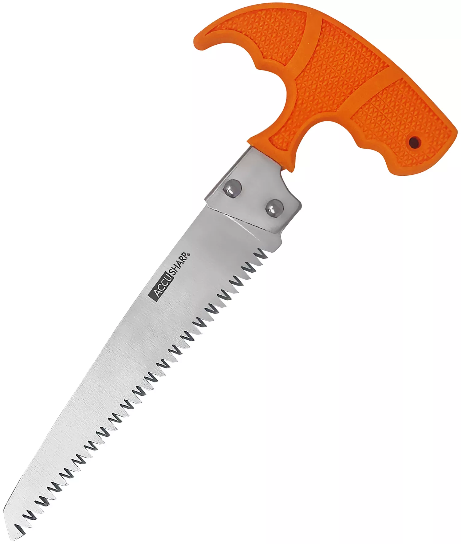 AccuSharp 730C Bone SawFixed Saw 6" Stainless Steel Blade/ Blaze Orange T-Shaped Handle