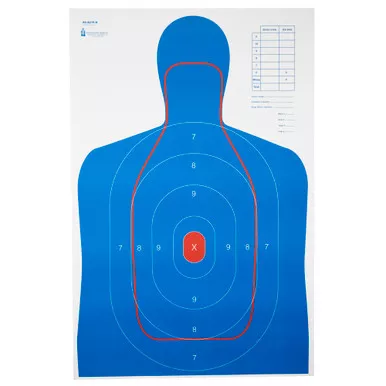 Action Target Action Target Combination B27E & FBI Q Target Set