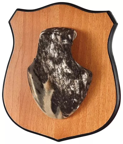 Allen 569 Heirloom Mounting Plaque Brown Wood Grain Laminate Includes Engravable Brass Plate/2 Skull Covers