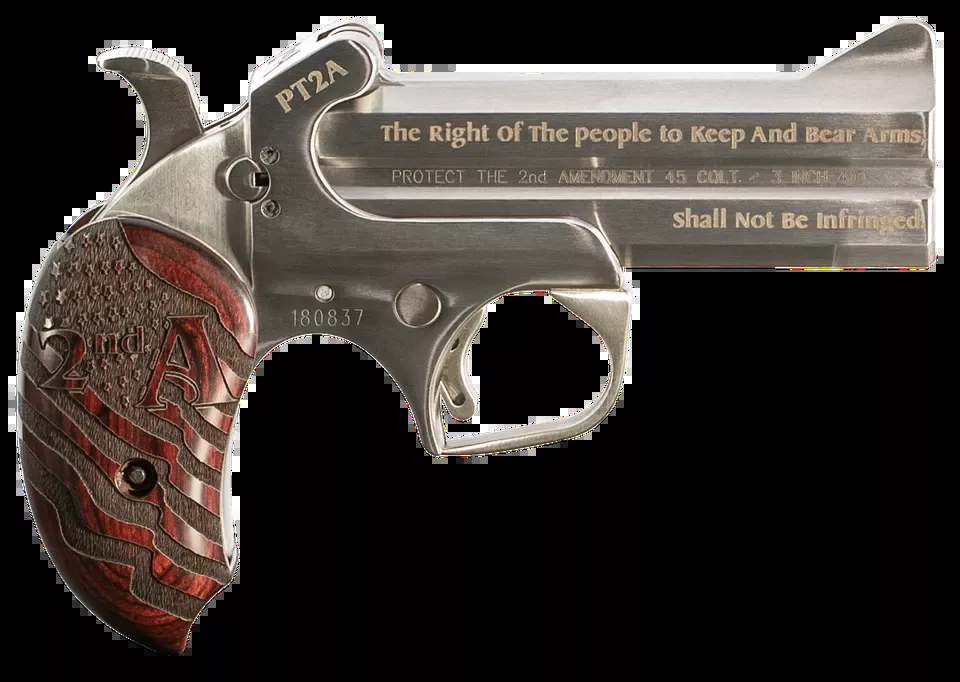 Bond Arms PT2A Derringer .45 Colt/.410 4.25" Stainless 2-Round