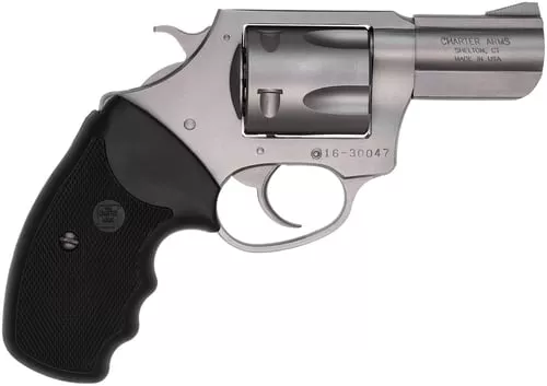 CHARTER ARMS PITBULL 40S&W 2.3″ SS