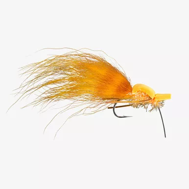 Gurgler Alarm Sunburst 1/0