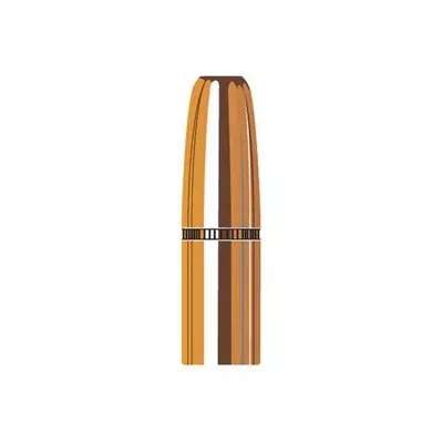 Hornady Dgs 9.3mm (0.366″) Flat Nose Bullets