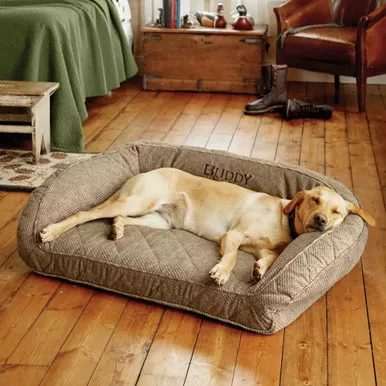 Memory Foam Medium Bolster Dog Bed