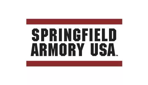 SPRINGFIELD ARMORY ECHELON 9MM ODG 4″ 10+1 GP