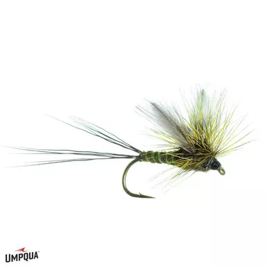 Umpqua Green Drake | Chartreuse Rib | Size 10