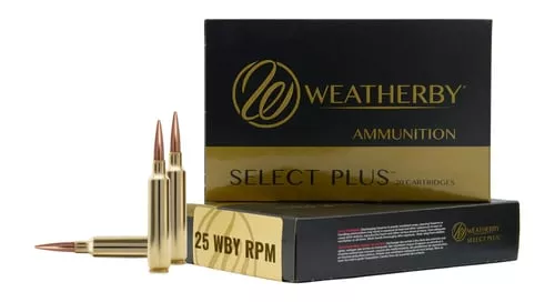 WTHBY B25RPM117LRX 25WBY RPM 117G BARNES LRX 20/10