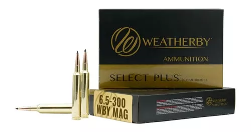 WTHBY M653129HCB 6.5-300 WBY 129GR HAMR20/10